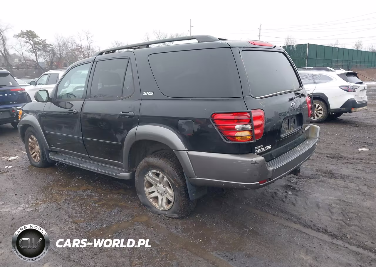 2004 Toyota Sequoia Sr5 VIN:5TDBT44A94S216734 - 3