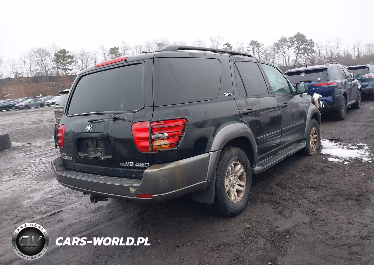 2004 Toyota Sequoia Sr5 VIN:5TDBT44A94S216734 - 4