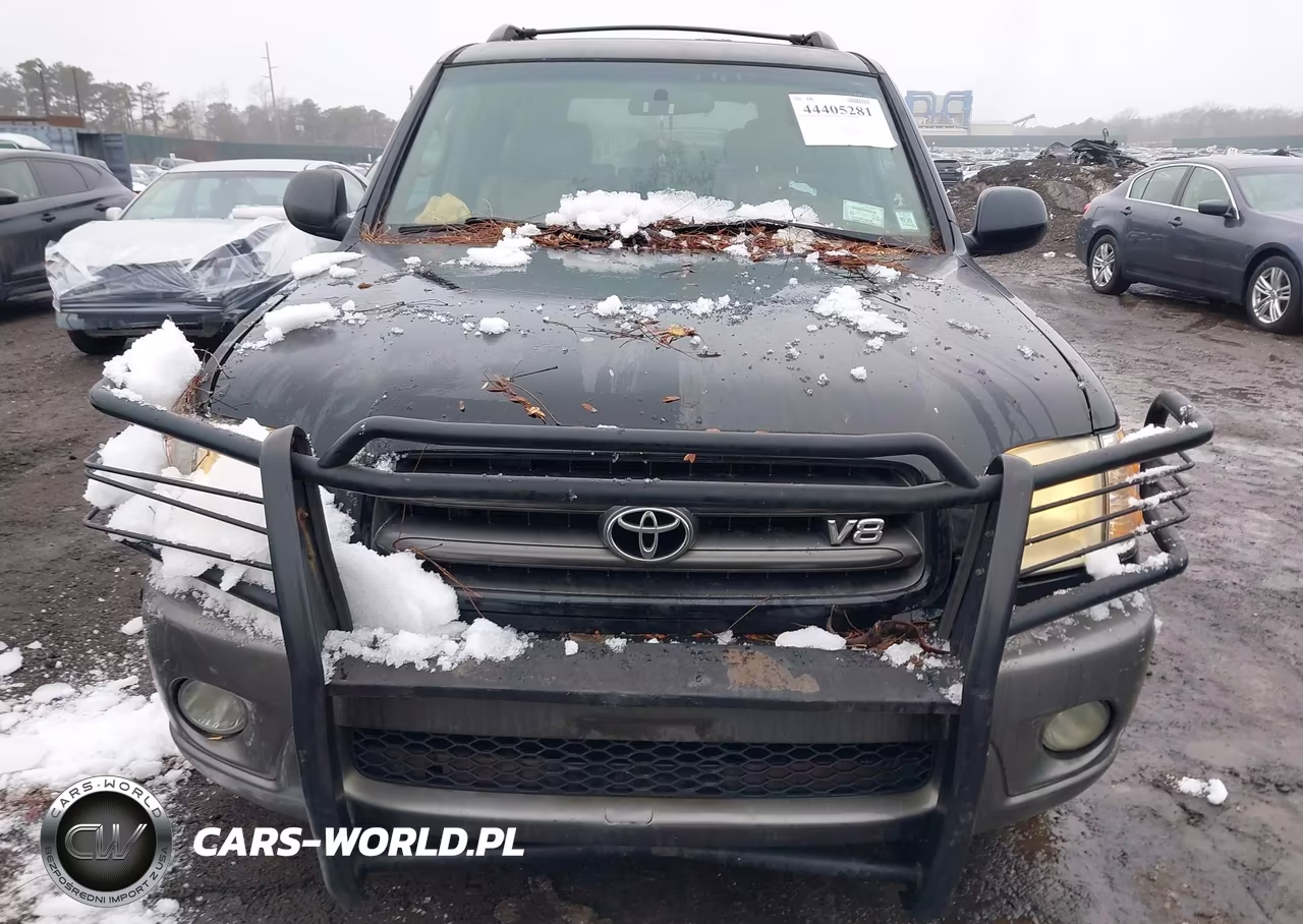 2004 Toyota Sequoia Sr5 VIN:5TDBT44A94S216734 - 6