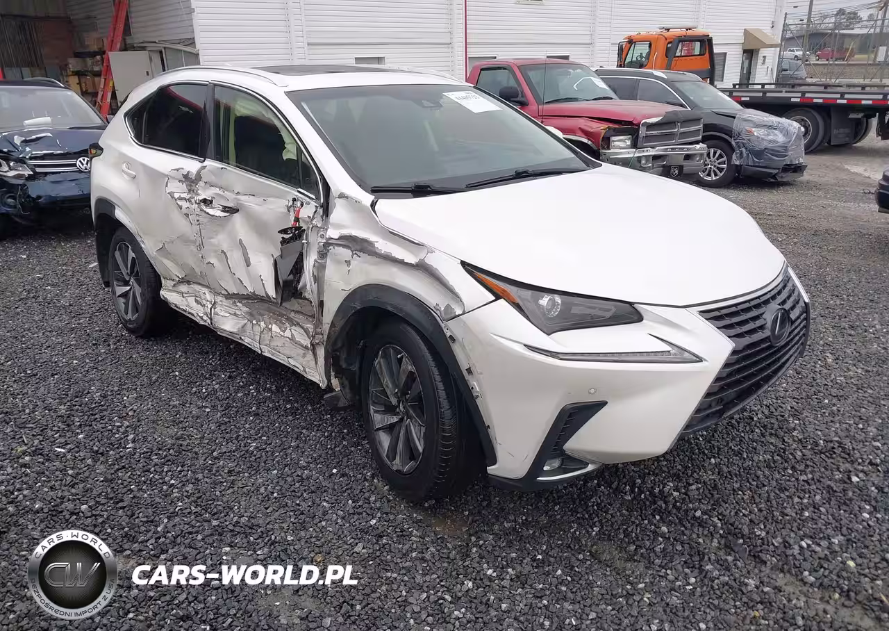 2019 Lexus Nx 300H