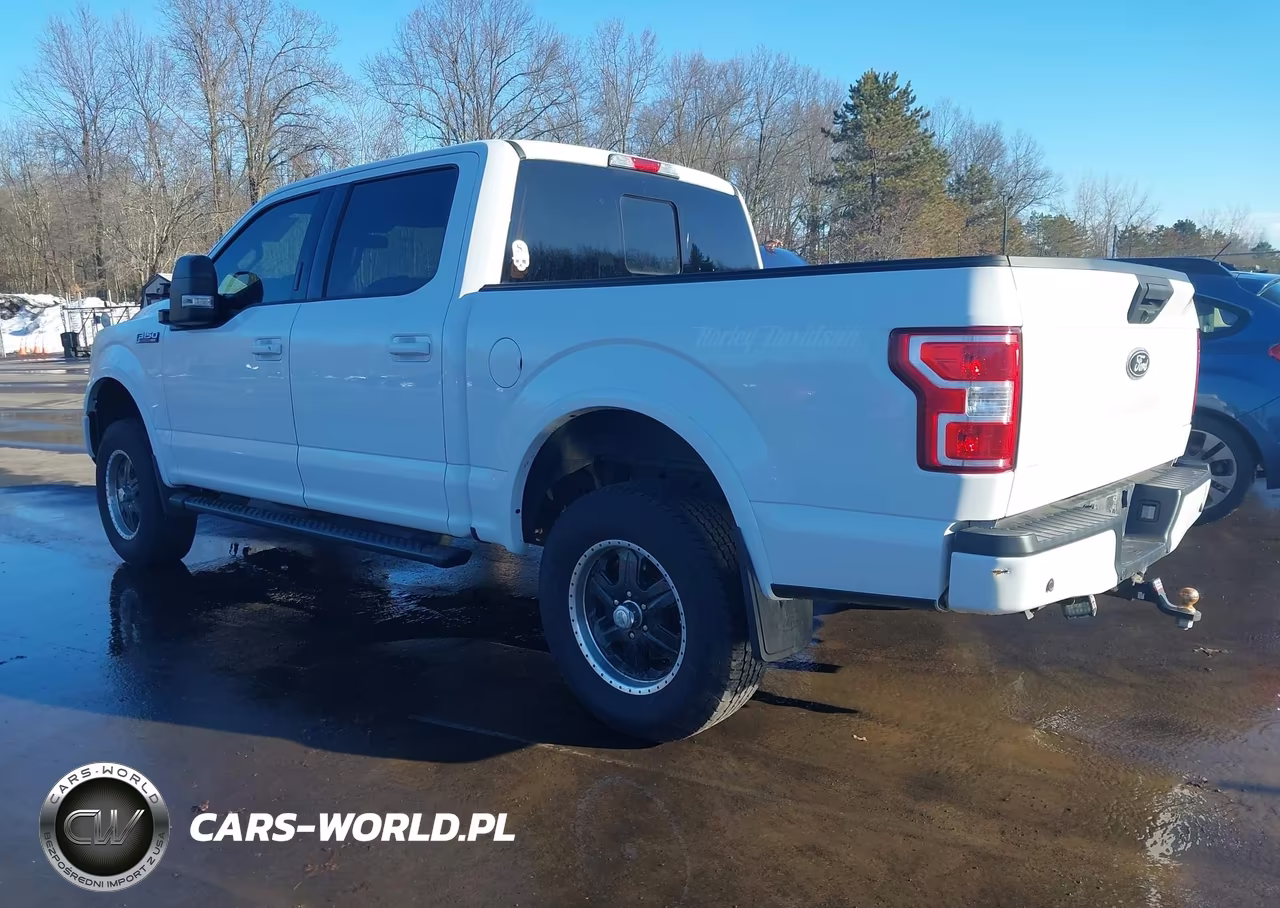 2019 Ford F-150 Xlt VIN:1FTEW1E57KFB09733 - 3
