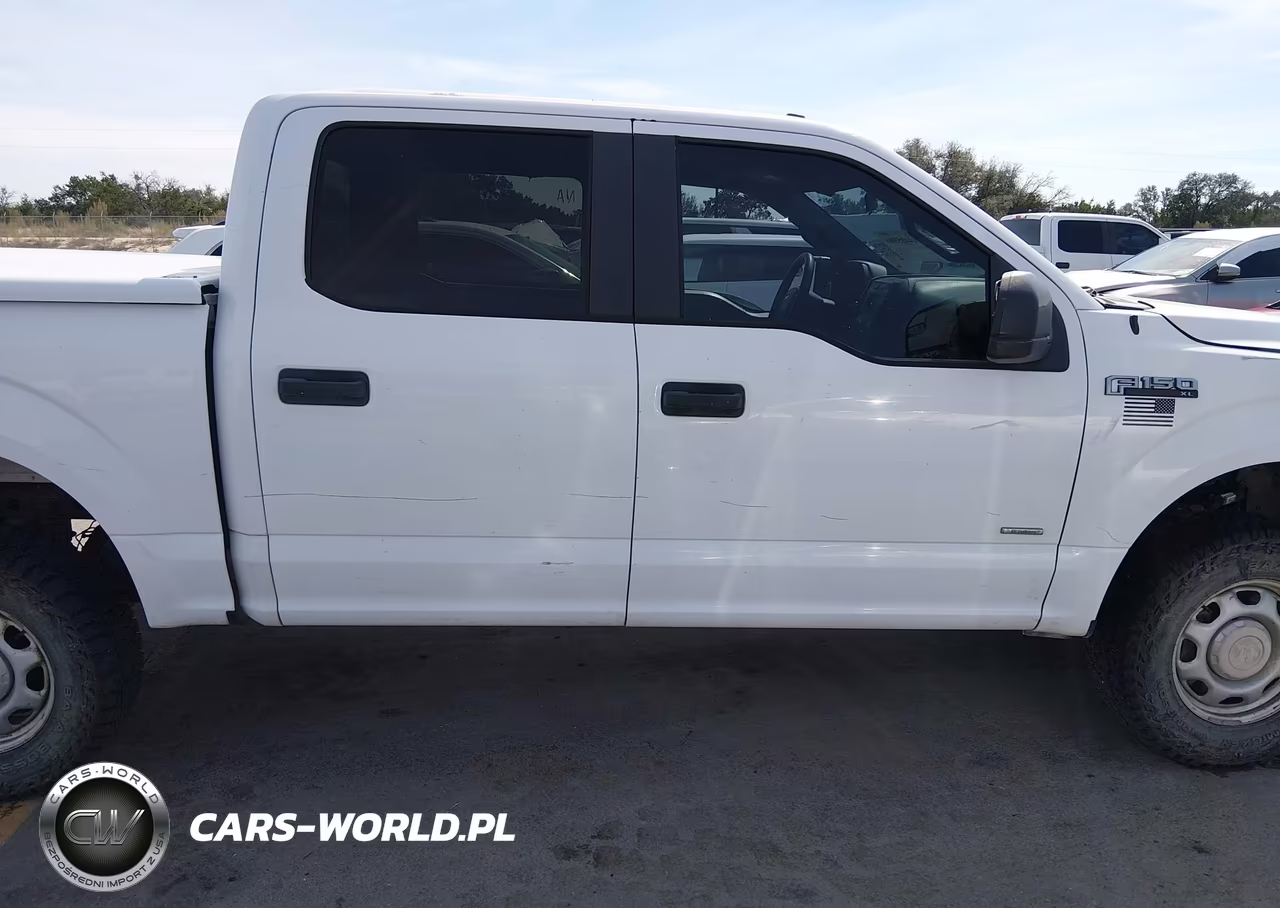 2015 Ford F-150 Xl VIN:1FTEW1EG4FKE51879 - 13