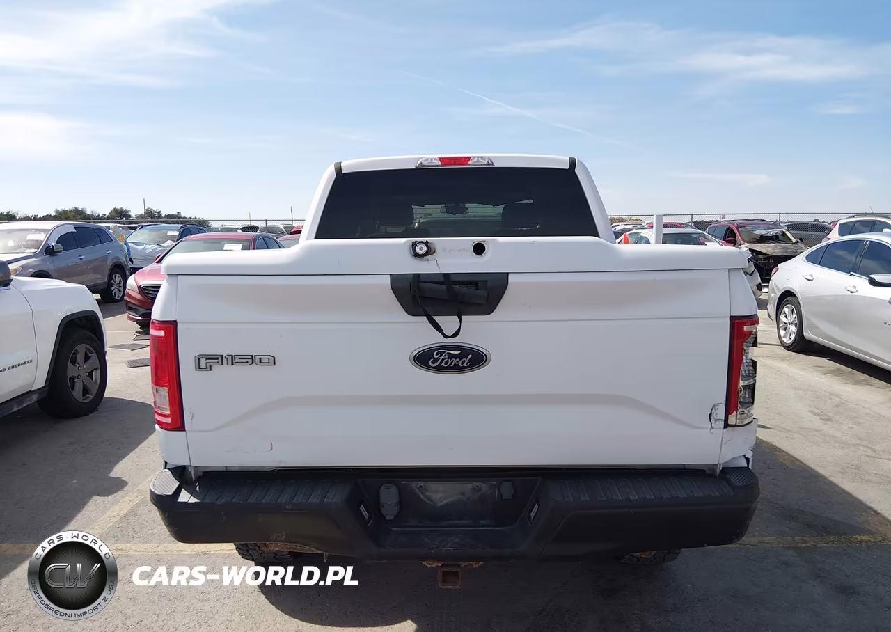 2015 Ford F-150 Xl VIN:1FTEW1EG4FKE51879 - 16