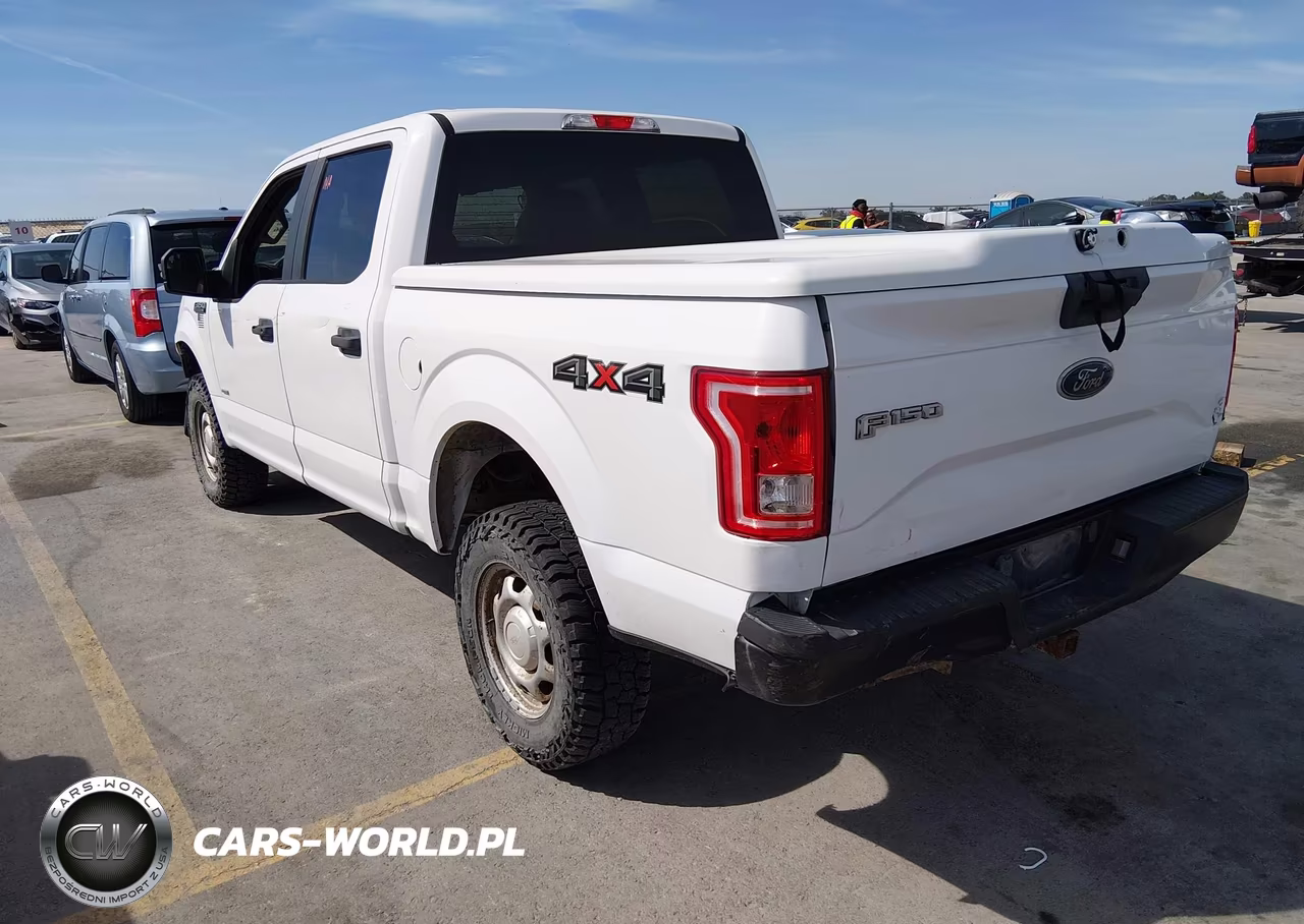 2015 Ford F-150 Xl VIN:1FTEW1EG4FKE51879 - 3
