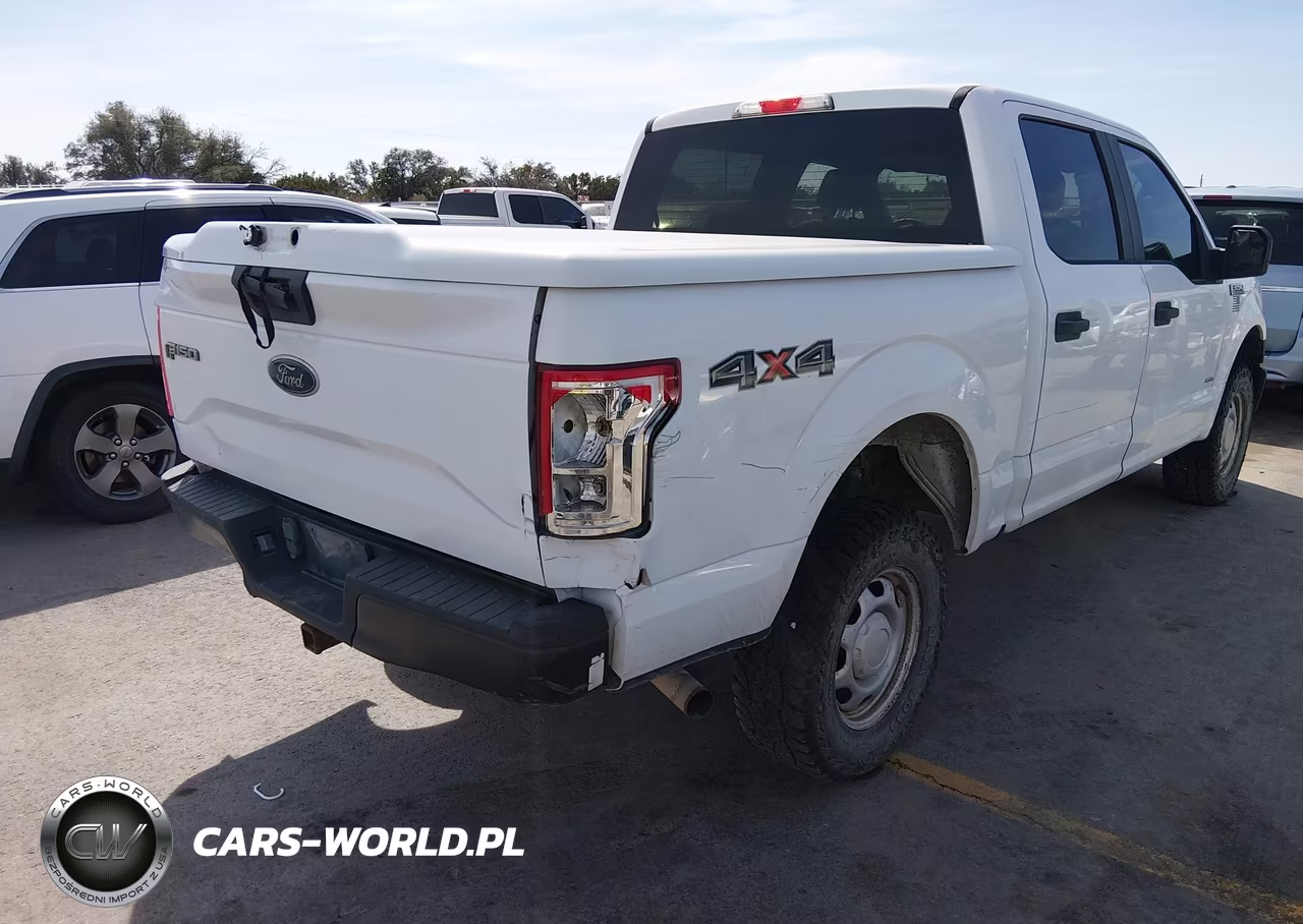 2015 Ford F-150 Xl VIN:1FTEW1EG4FKE51879 - 4
