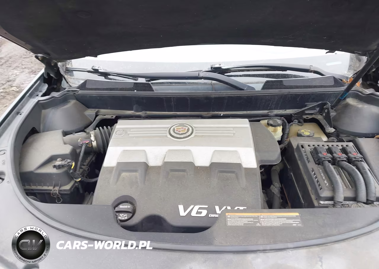 2010 Cadillac Srx Premium Collection VIN:3GYFNCEY3AS500444 - 10