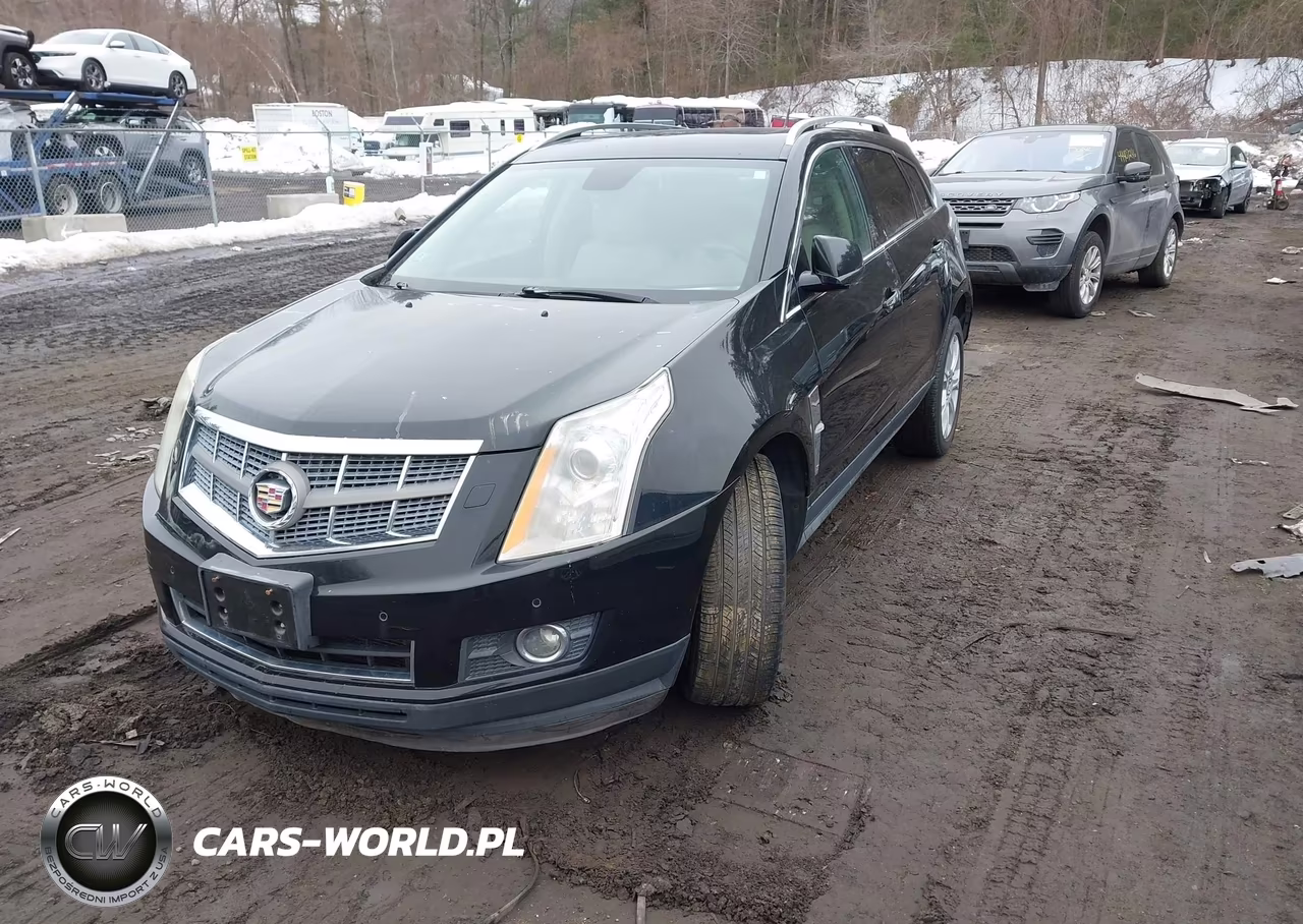 2010 Cadillac Srx Premium Collection VIN:3GYFNCEY3AS500444 - 2