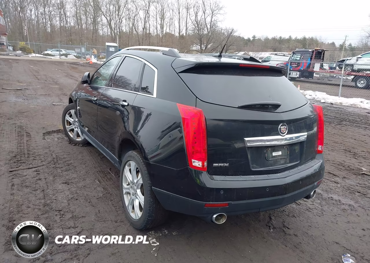 2010 Cadillac Srx Premium Collection VIN:3GYFNCEY3AS500444 - 3