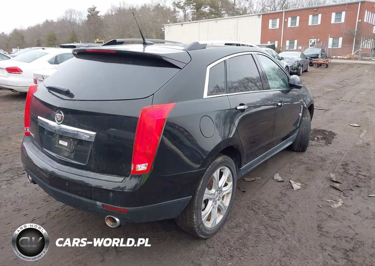 2010 Cadillac Srx Premium Collection VIN:3GYFNCEY3AS500444 - 4