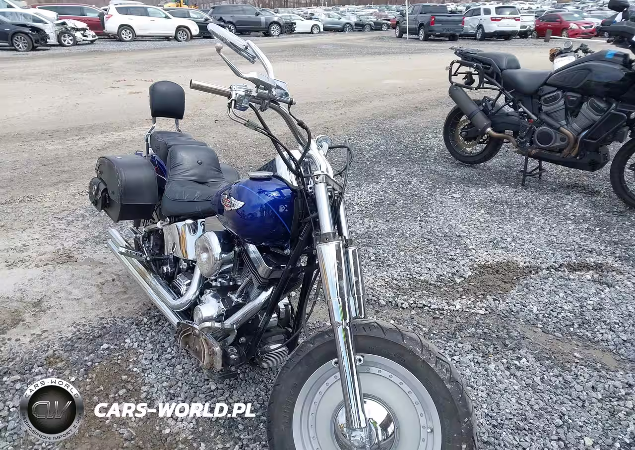 2006 Harley-Davidson Flstn