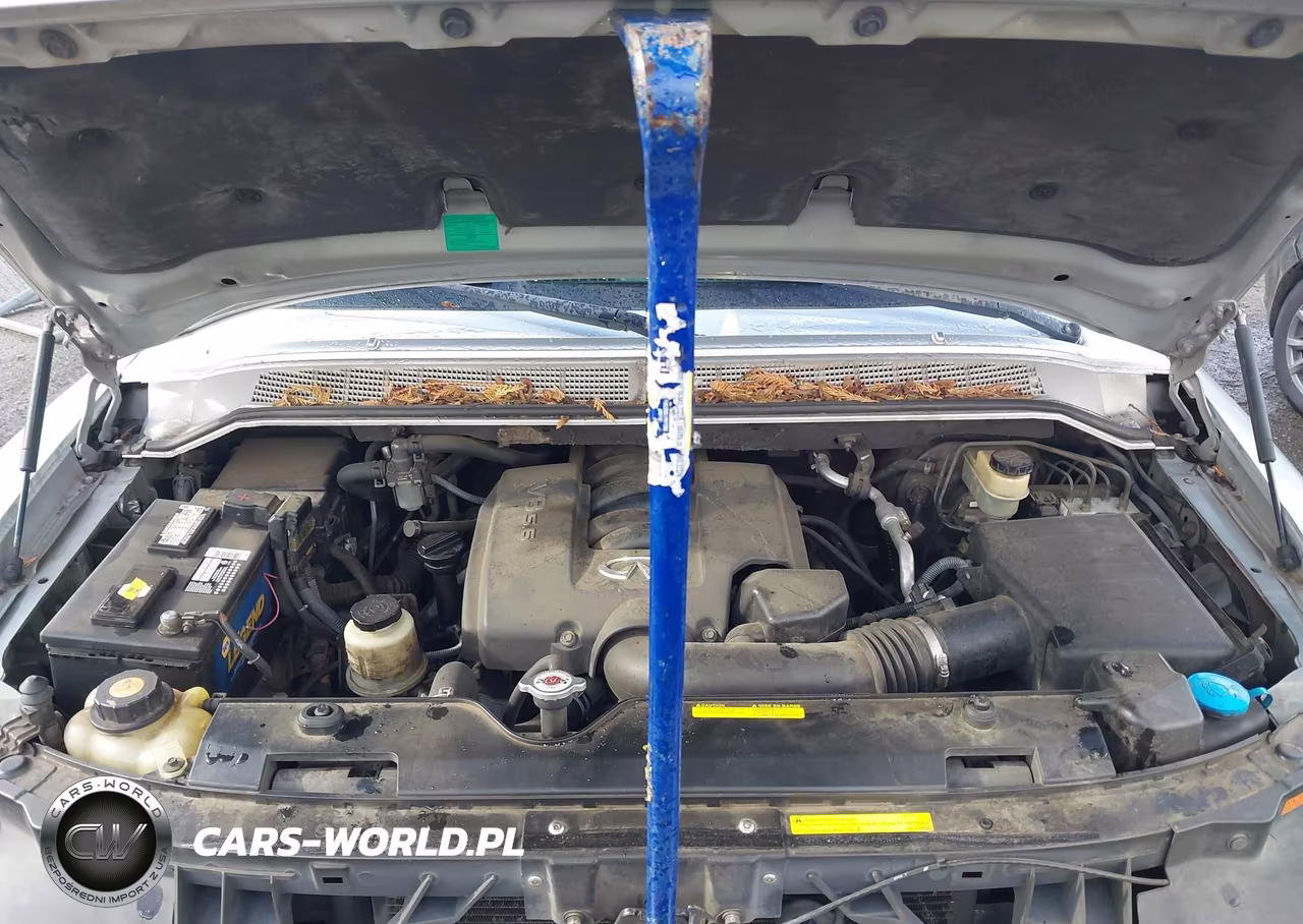 2004 Infiniti Qx56 VIN:5N3AA08CX4N803765 - 10