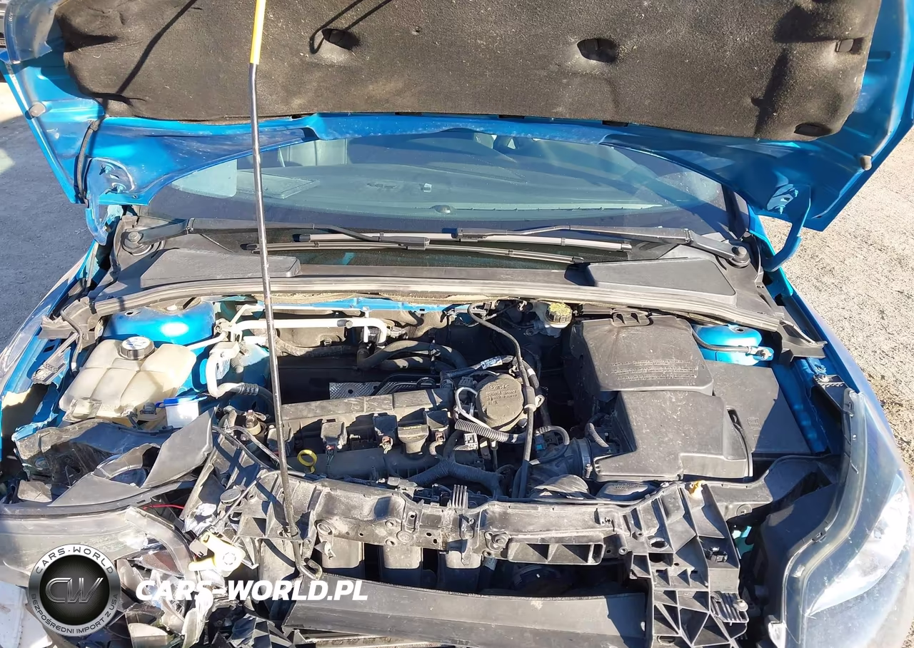 2013 Ford Focus Titanium VIN:1FADP3N2XDL251353 - 10