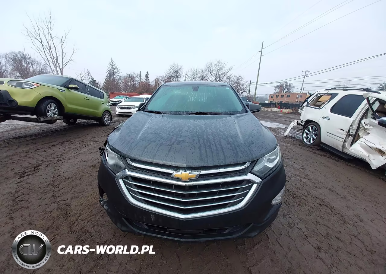 2019 Chevrolet Equinox Ls VIN:2GNAXSEV1K6110511 - 12