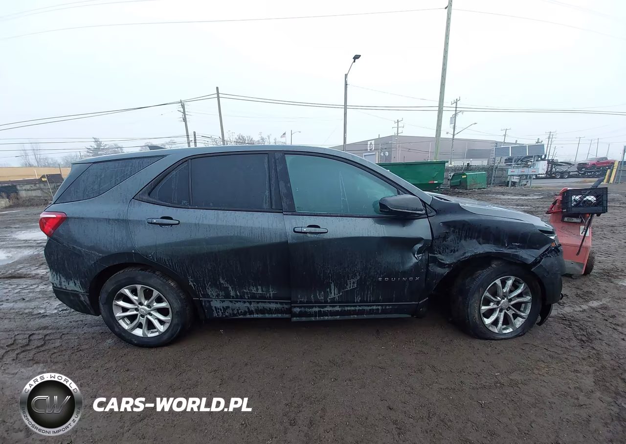 2019 Chevrolet Equinox Ls VIN:2GNAXSEV1K6110511 - 13