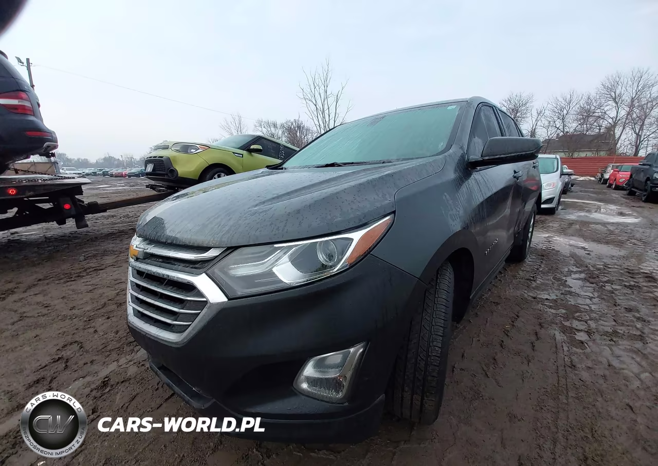 2019 Chevrolet Equinox Ls VIN:2GNAXSEV1K6110511 - 2
