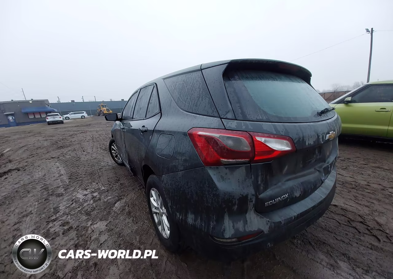 2019 Chevrolet Equinox Ls VIN:2GNAXSEV1K6110511 - 3