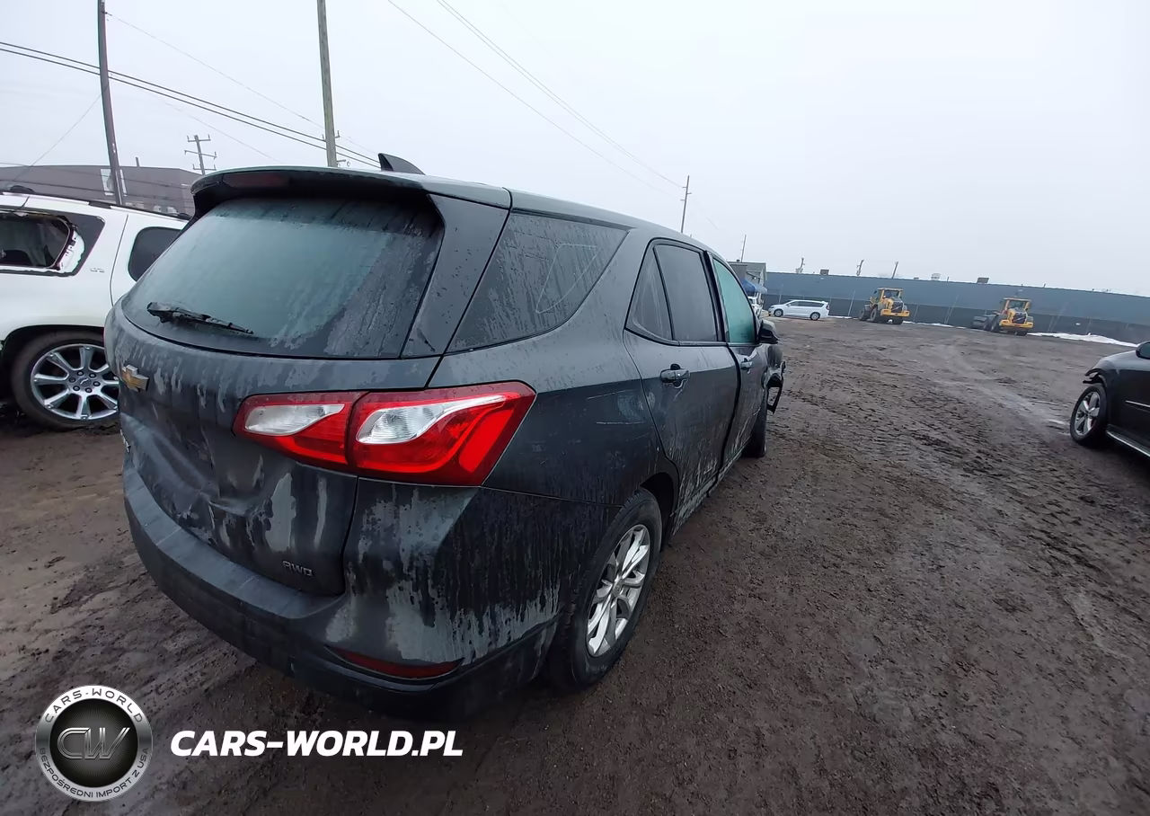 2019 Chevrolet Equinox Ls VIN:2GNAXSEV1K6110511 - 4