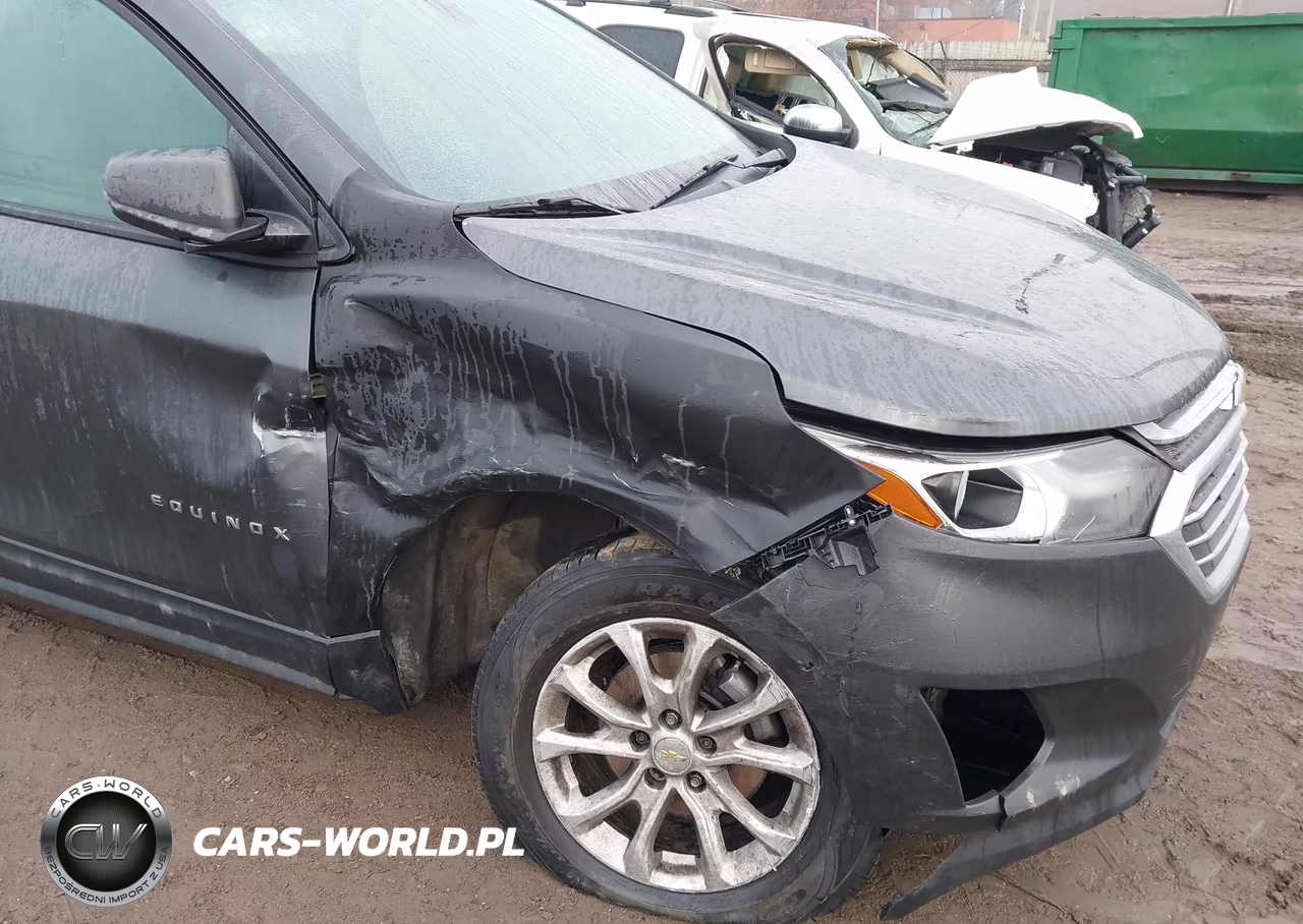 2019 Chevrolet Equinox Ls VIN:2GNAXSEV1K6110511 - 6