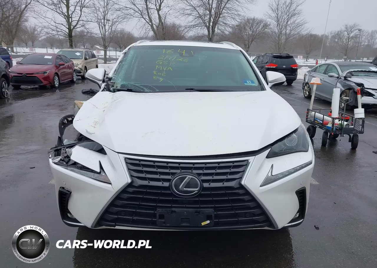2018 Lexus Nx 300 VIN:JTJBARBZ6J2161641 - 12