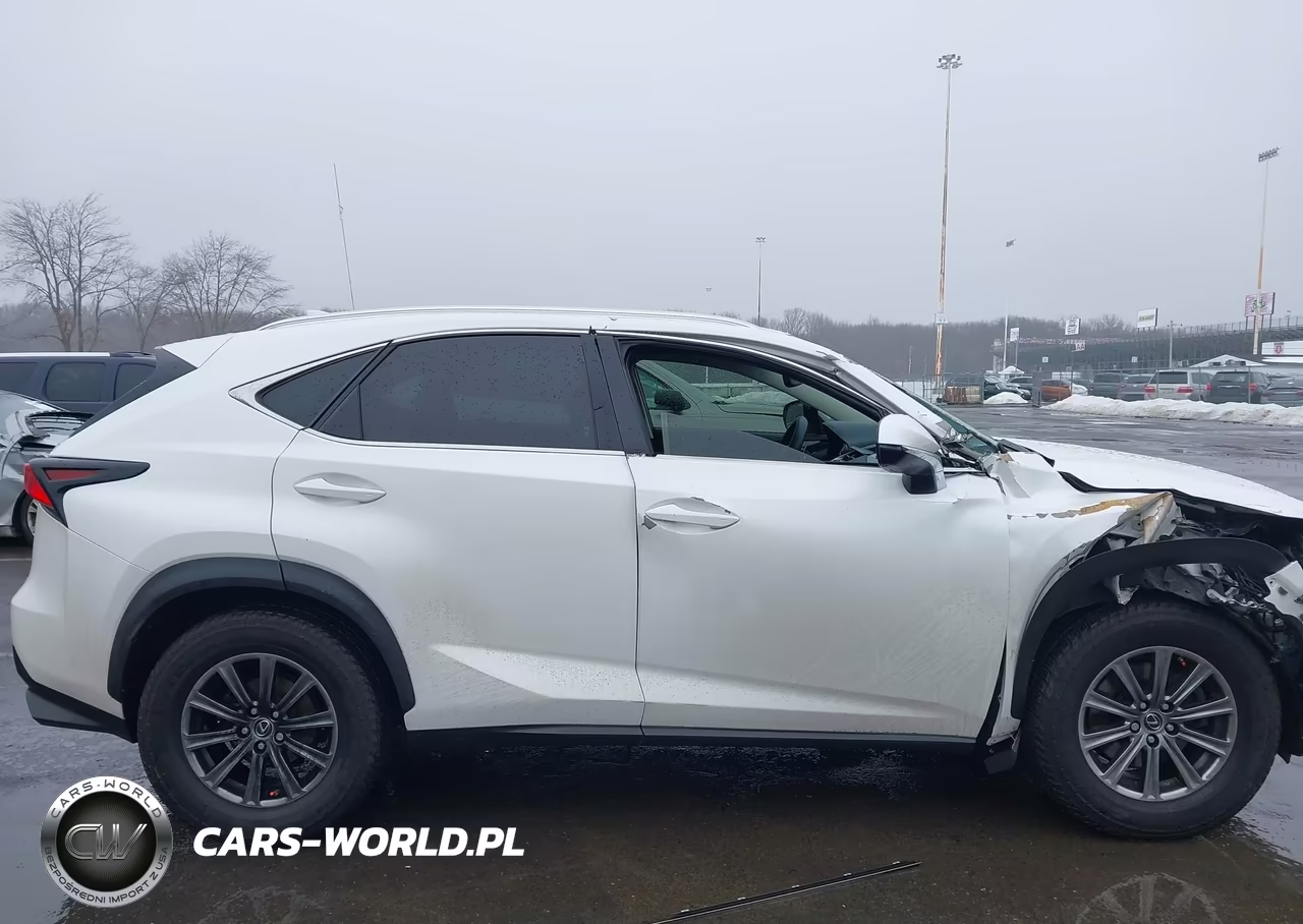 2018 Lexus Nx 300 VIN:JTJBARBZ6J2161641 - 13