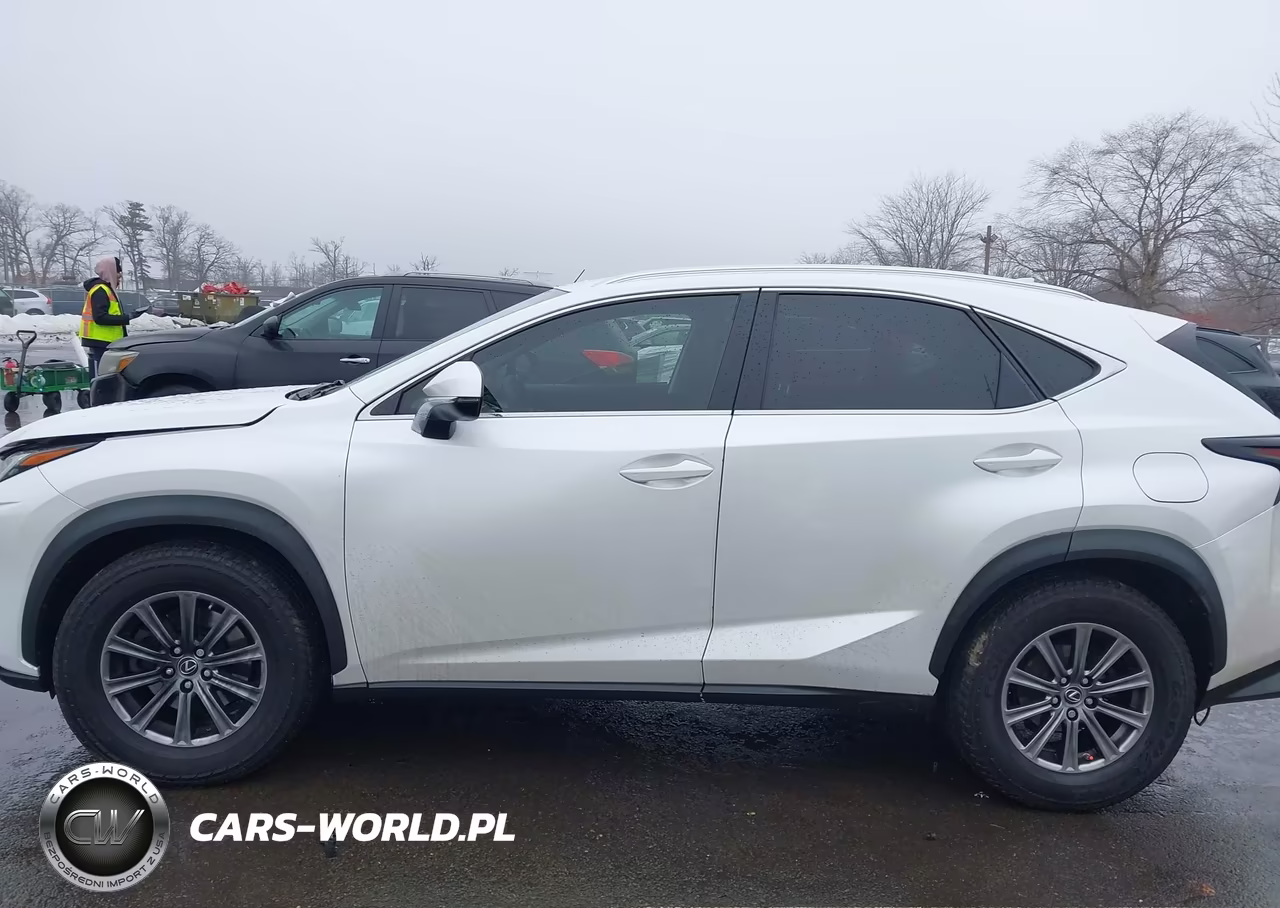 2018 Lexus Nx 300 VIN:JTJBARBZ6J2161641 - 14