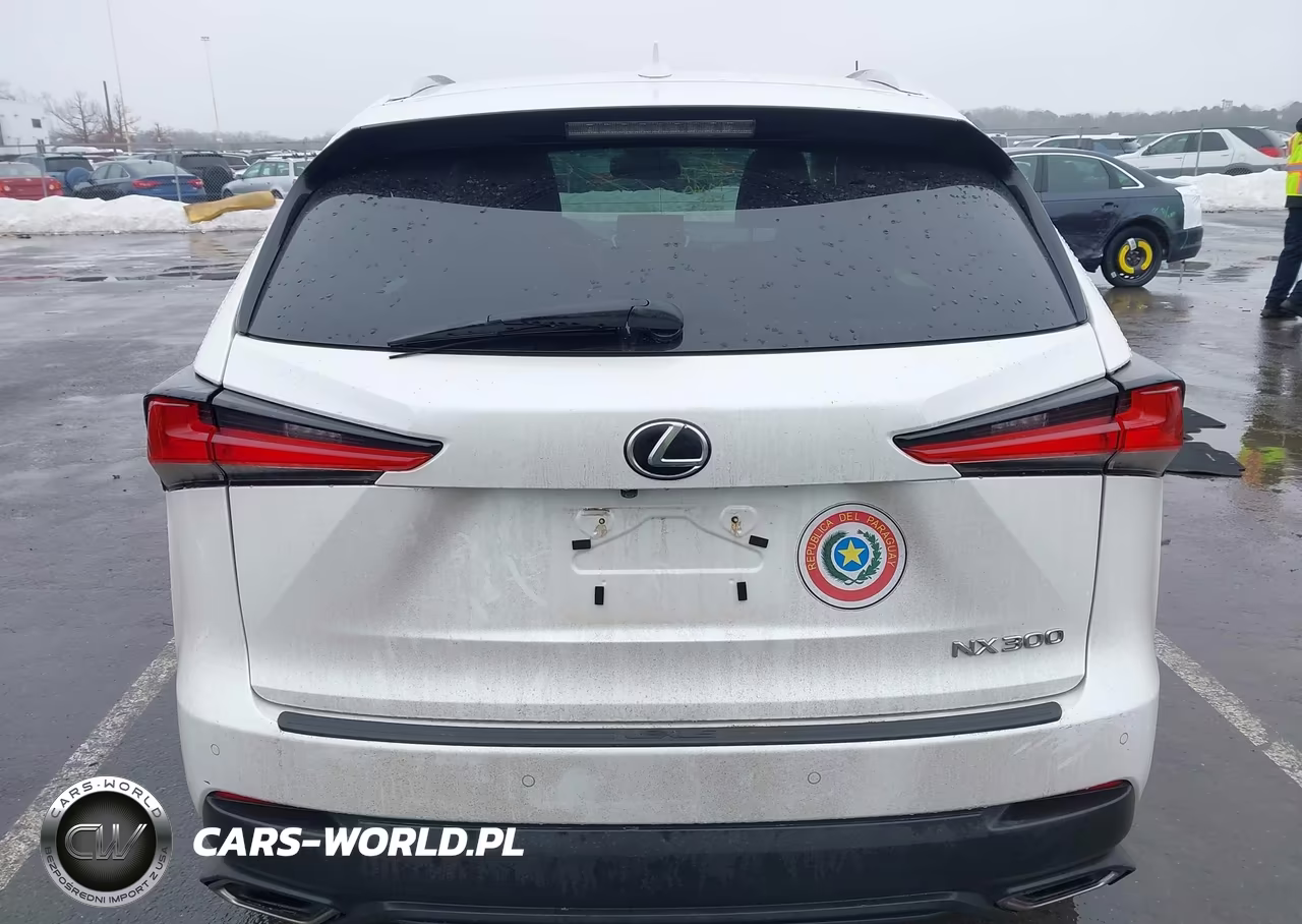 2018 Lexus Nx 300 VIN:JTJBARBZ6J2161641 - 16