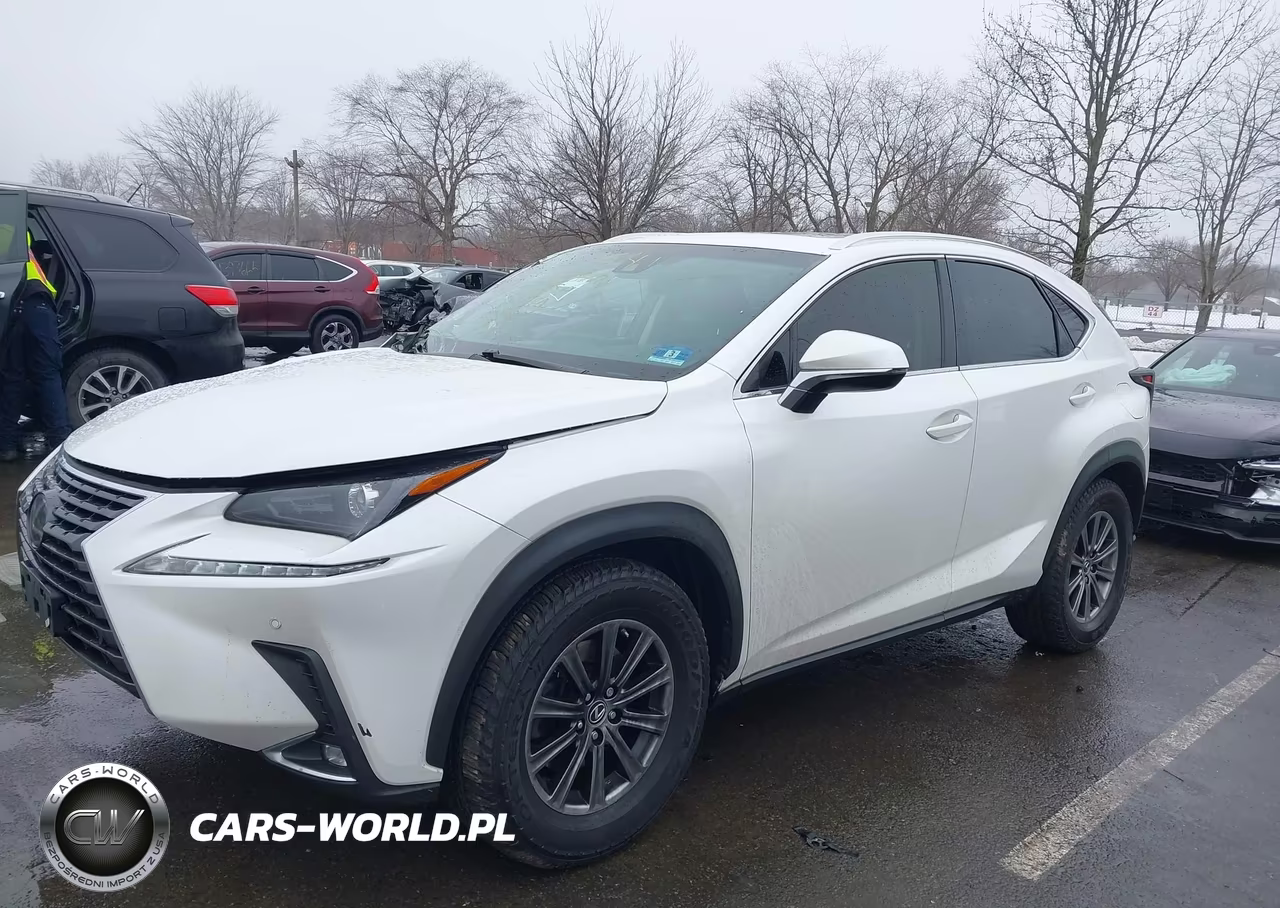 2018 Lexus Nx 300 VIN:JTJBARBZ6J2161641 - 2