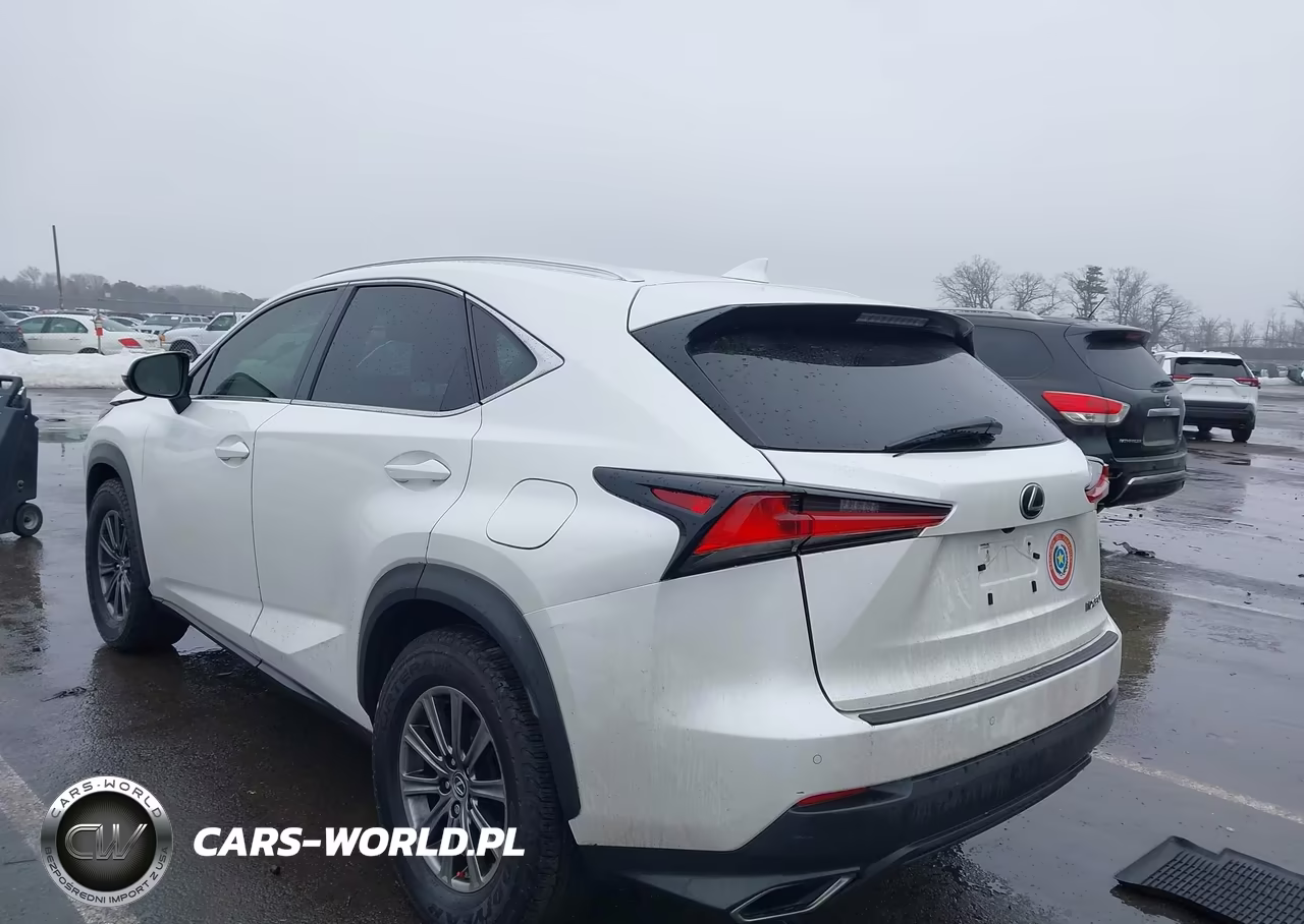 2018 Lexus Nx 300 VIN:JTJBARBZ6J2161641 - 3