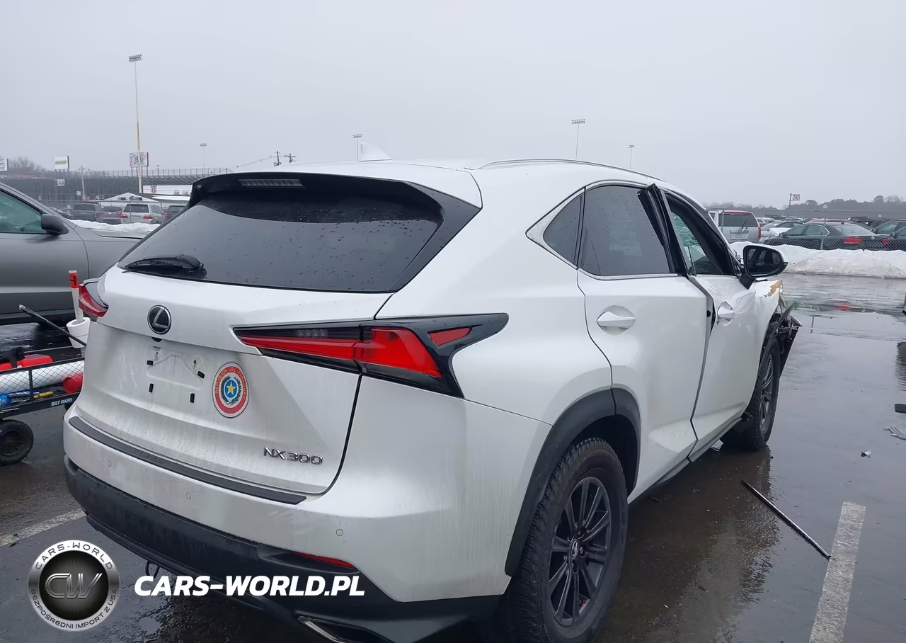 2018 Lexus Nx 300 VIN:JTJBARBZ6J2161641 - 4
