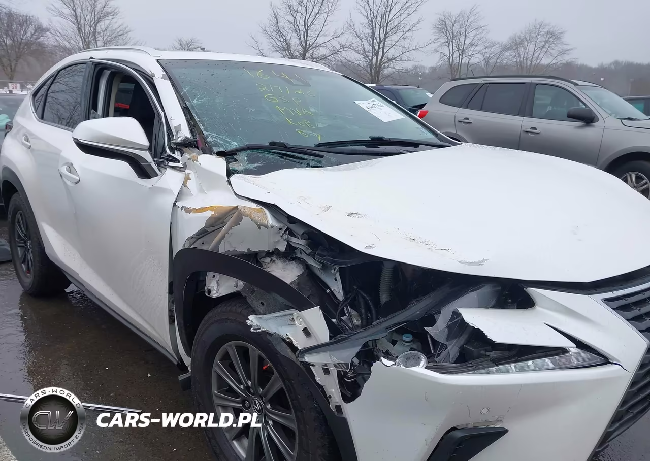 2018 Lexus Nx 300 VIN:JTJBARBZ6J2161641 - 6