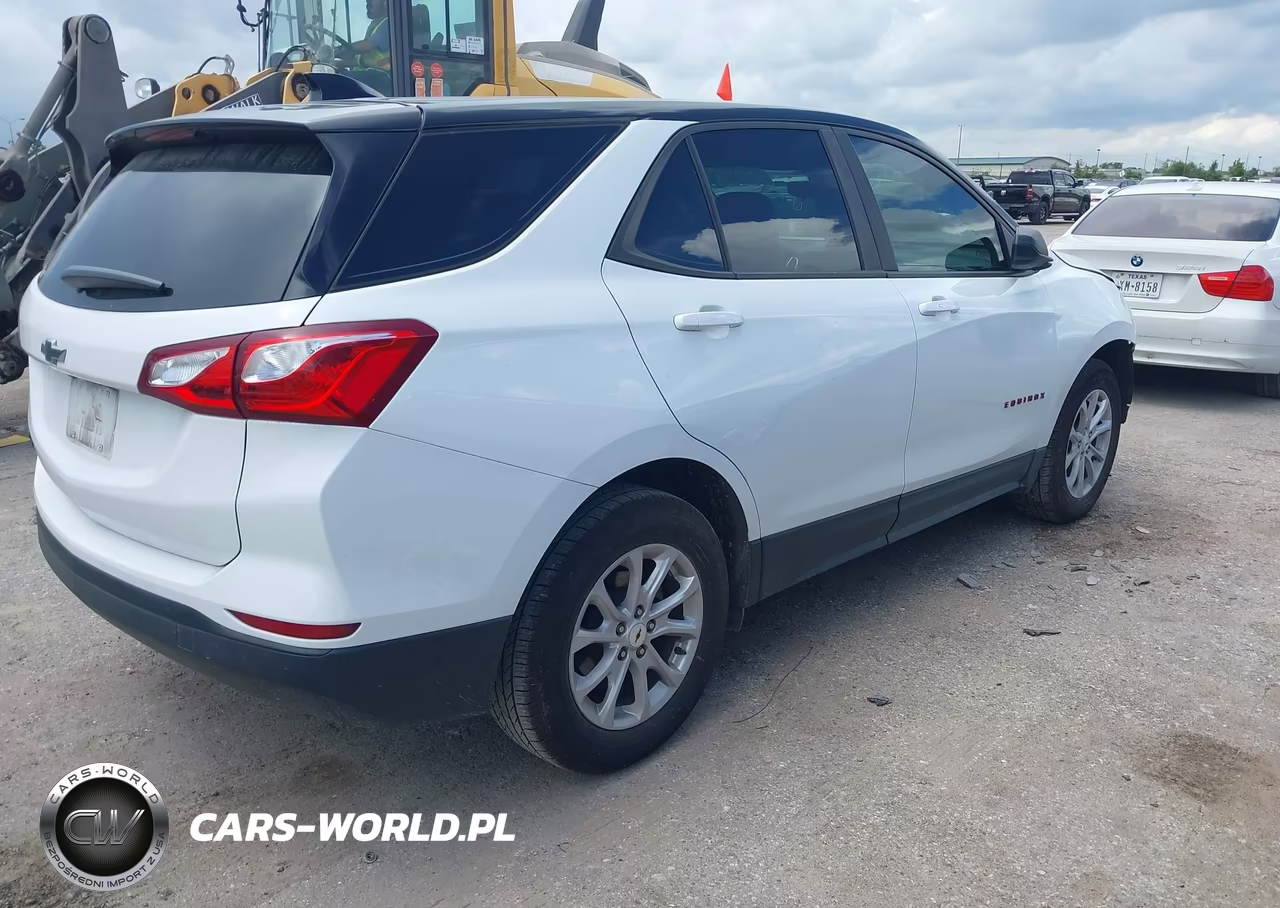 2020 Chevrolet Equinox Fwd Ls VIN:3GNAXHEV6LS665363 - 4