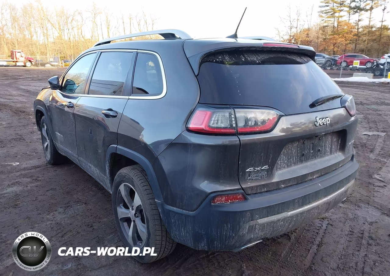 2019 Jeep Cherokee Limited 4X4 VIN:1C4PJMDX8KD257638 - 3