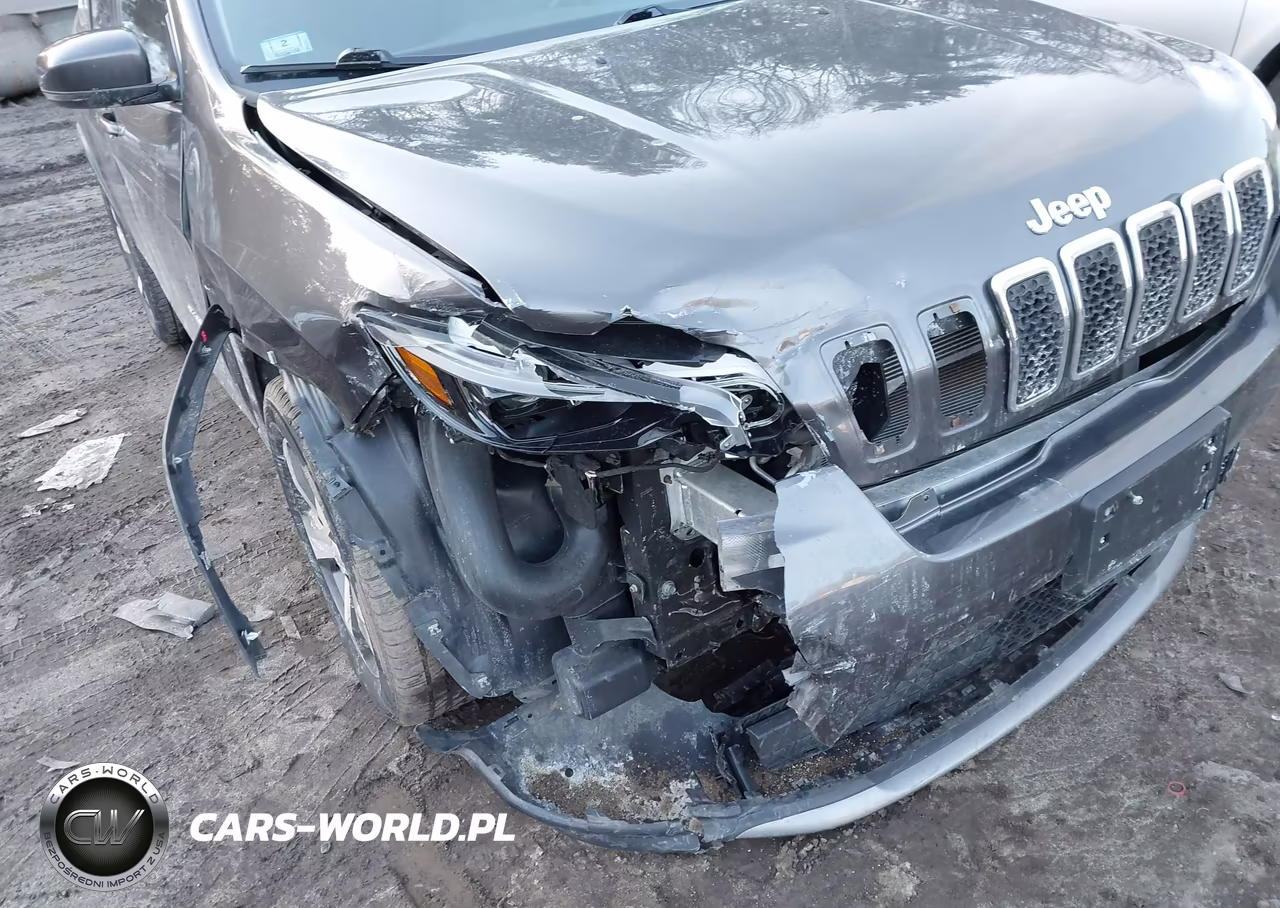 2019 Jeep Cherokee Limited 4X4 VIN:1C4PJMDX8KD257638 - 6