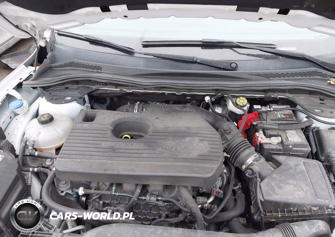 2020 Ford Escape Titanium VIN:1FMCU9J96LUB54370 - 10