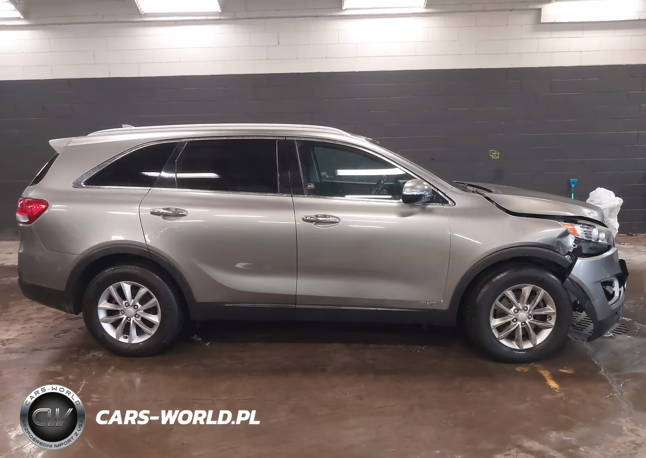 2016 Kia Sorento 2.4L Lx VIN:5XYPGDA36GG019442 - 13