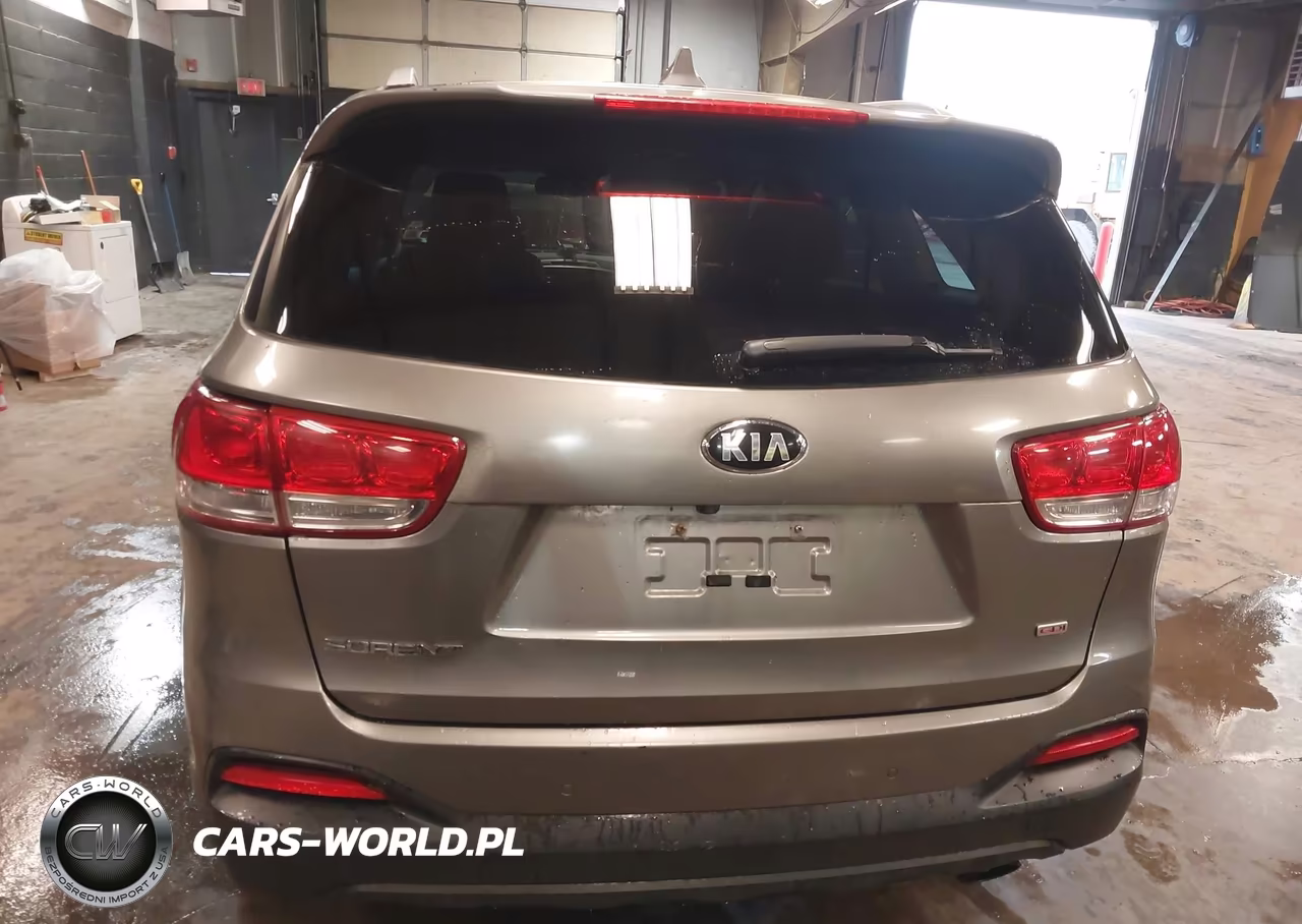 2016 Kia Sorento 2.4L Lx VIN:5XYPGDA36GG019442 - 16