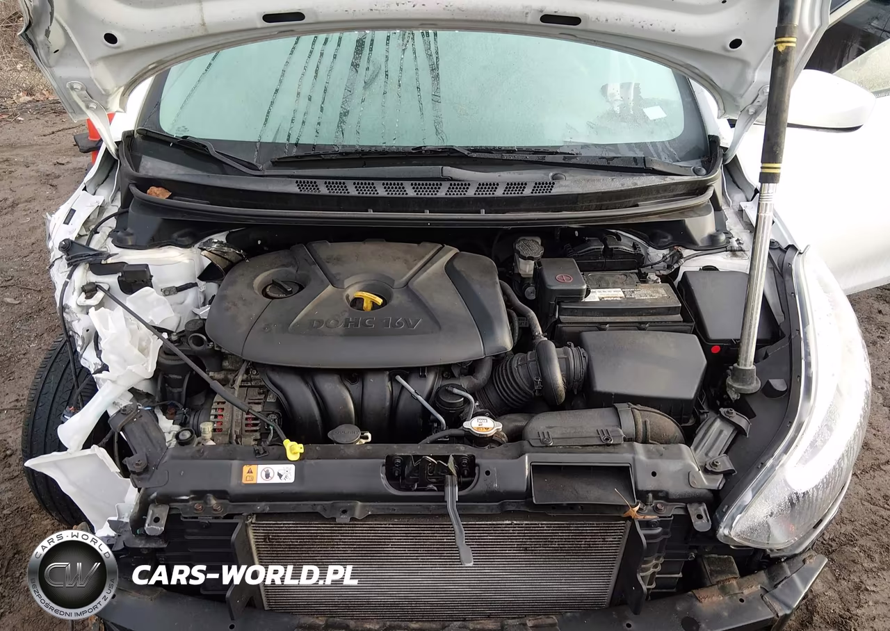 2015 Hyundai Elantra Se VIN:5NPDH4AE6FH621024 - 10