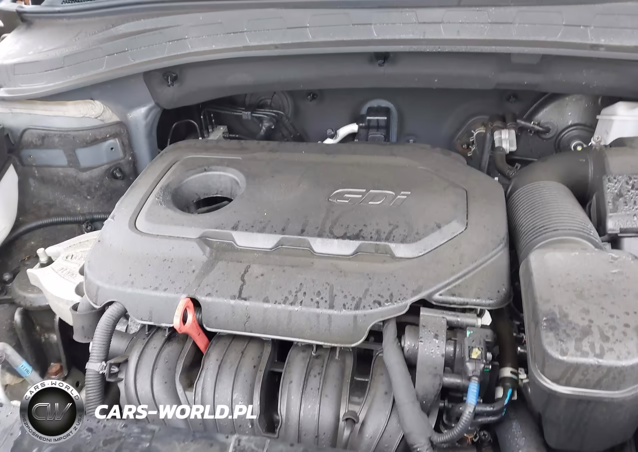 2020 Hyundai Santa Fe Limited VIN:5NMS5CAD6LH142404 - 10