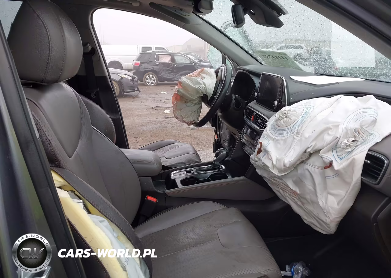 2020 Hyundai Santa Fe Limited VIN:5NMS5CAD6LH142404 - 5