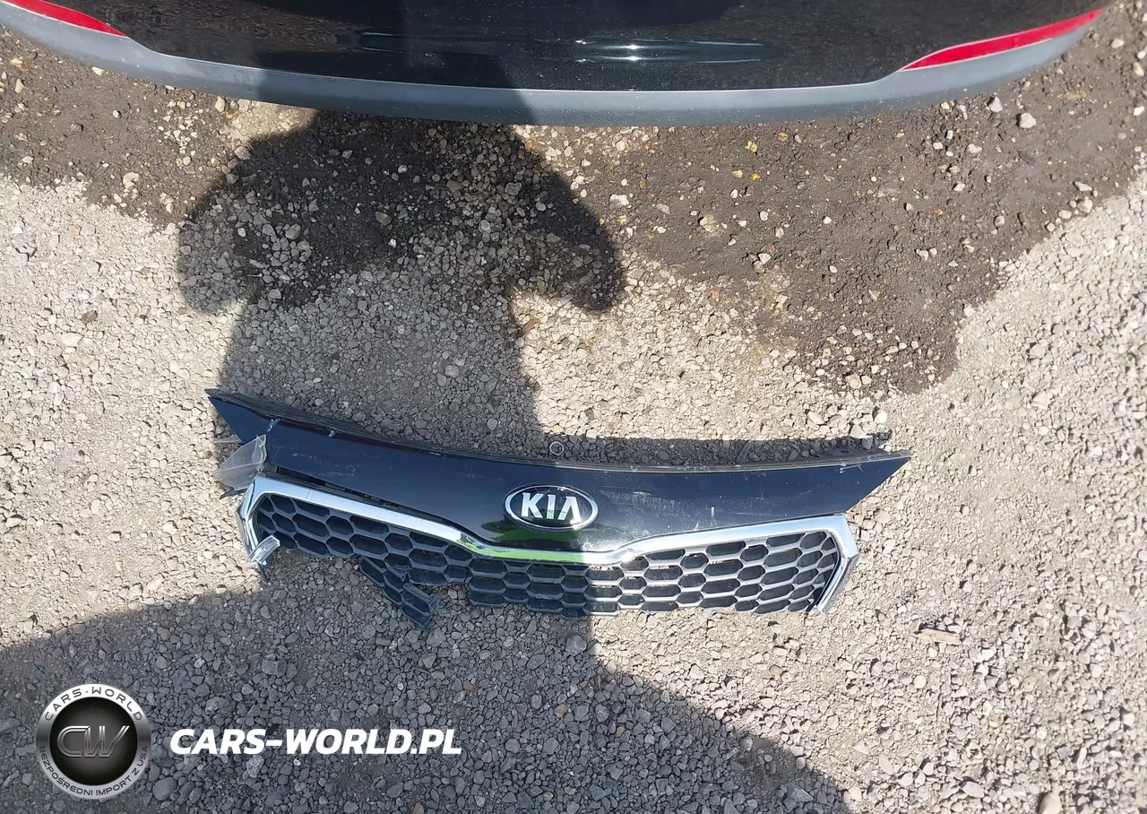 2014 Kia Forte Lx VIN:KNAFK4A66E5141239 - 12