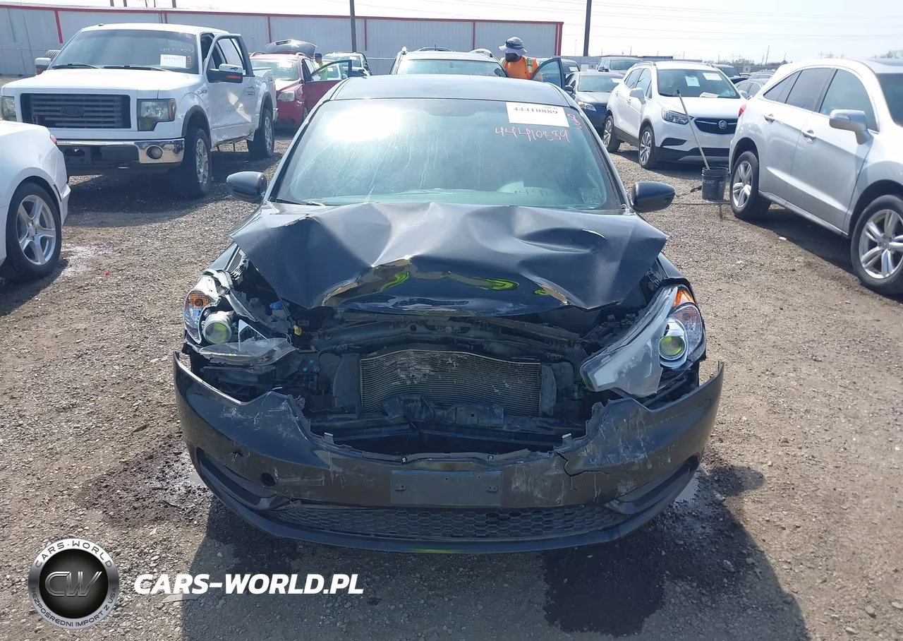 2014 Kia Forte Lx VIN:KNAFK4A66E5141239 - 13