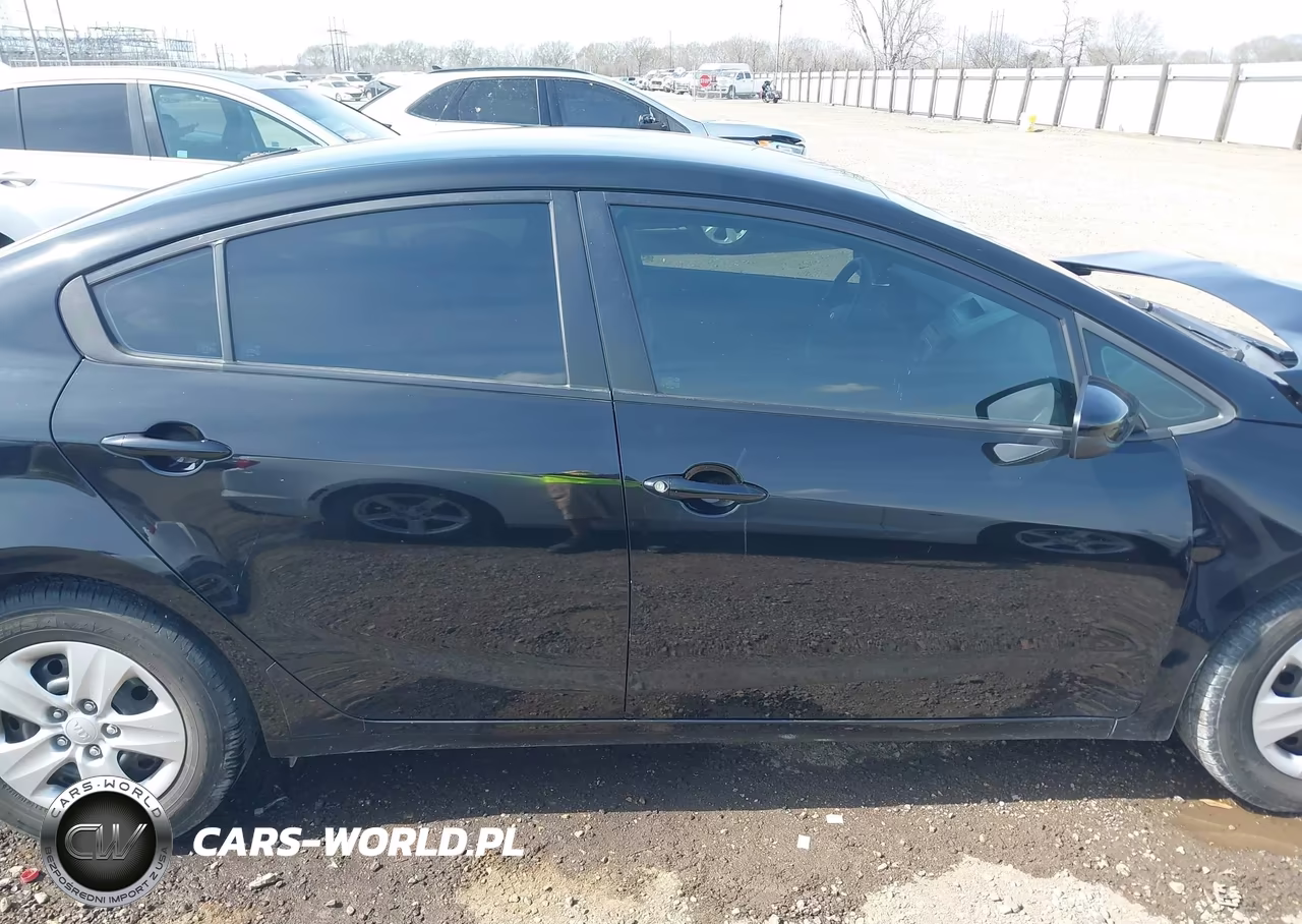 2014 Kia Forte Lx VIN:KNAFK4A66E5141239 - 14