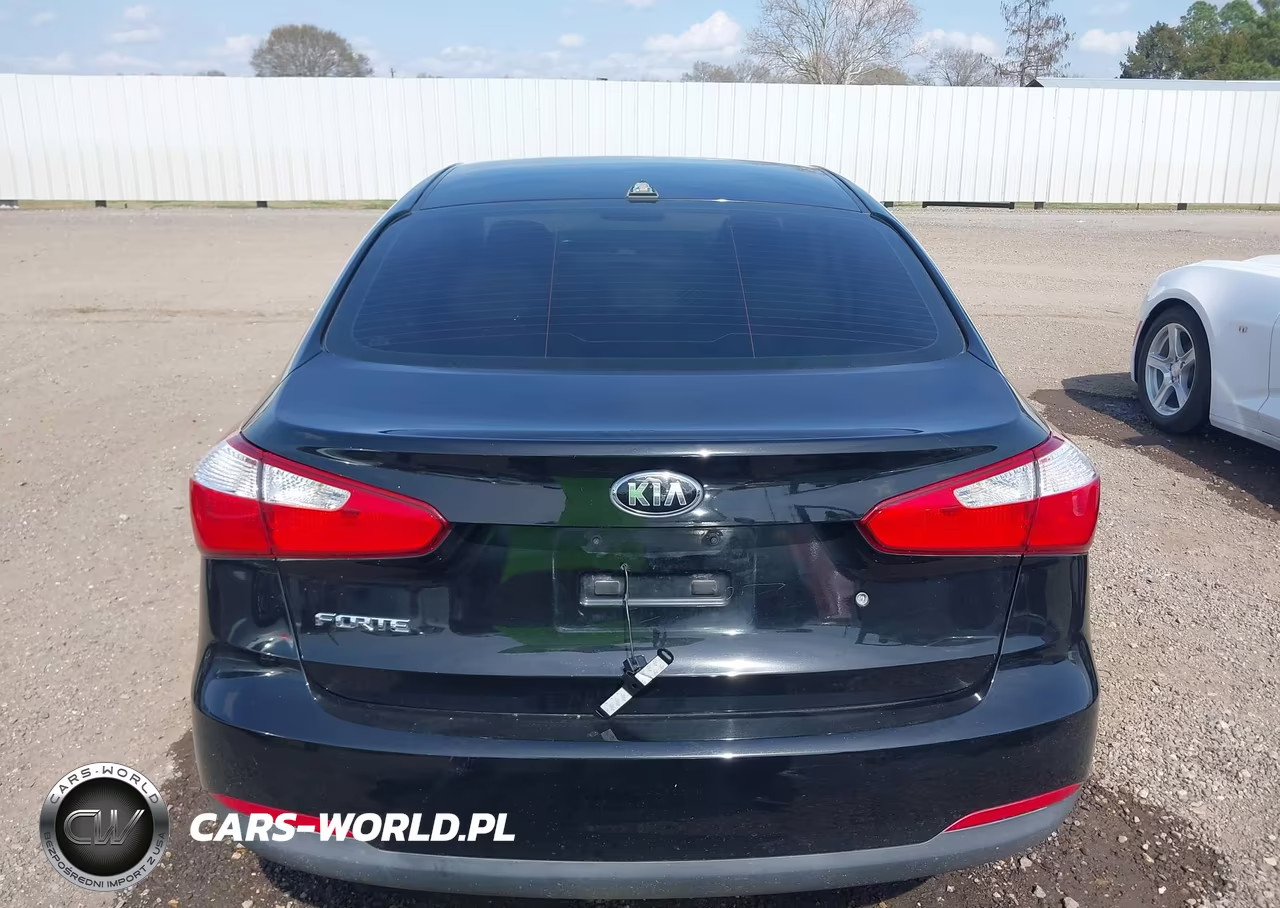 2014 Kia Forte Lx VIN:KNAFK4A66E5141239 - 17