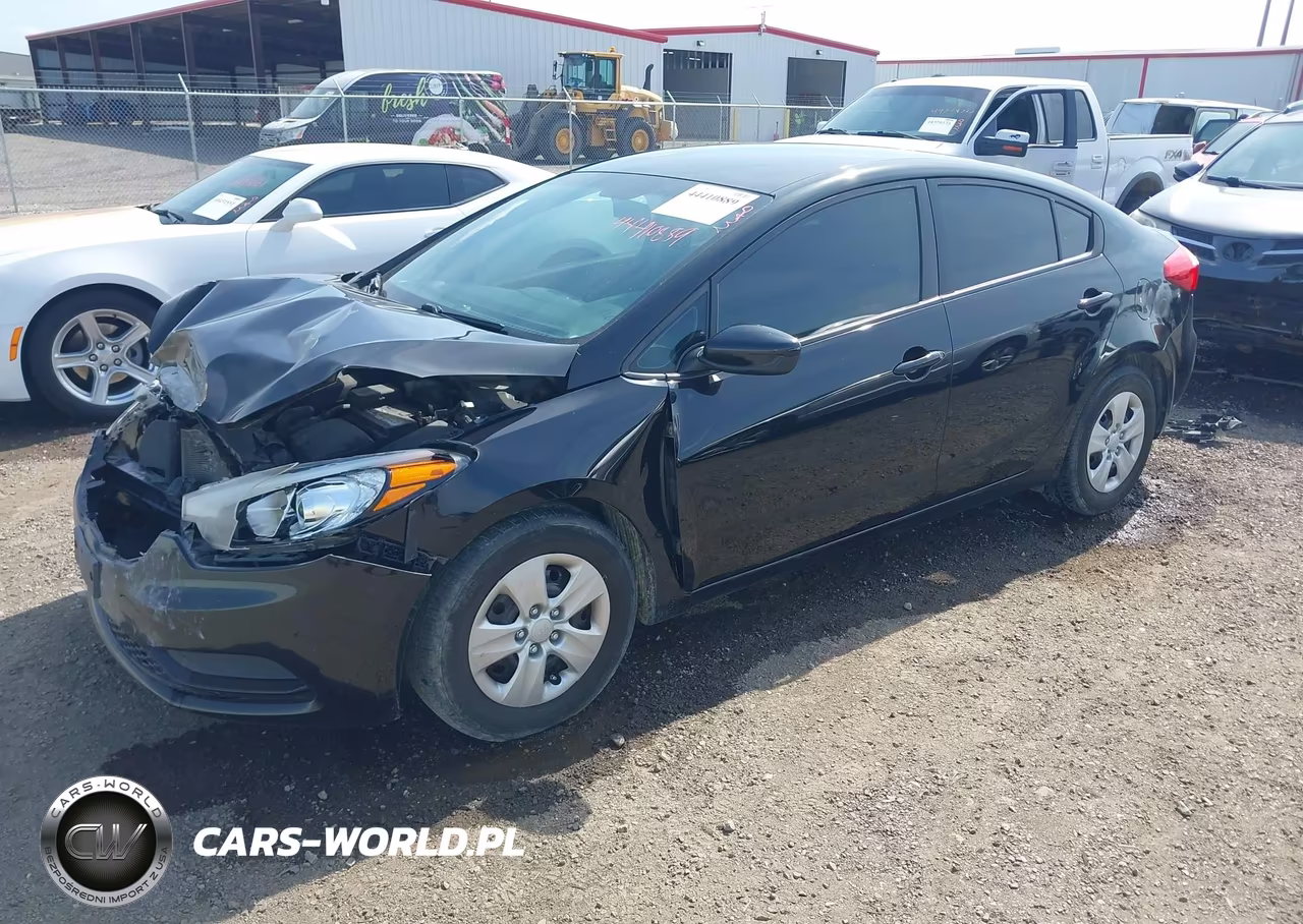 2014 Kia Forte Lx VIN:KNAFK4A66E5141239 - 2