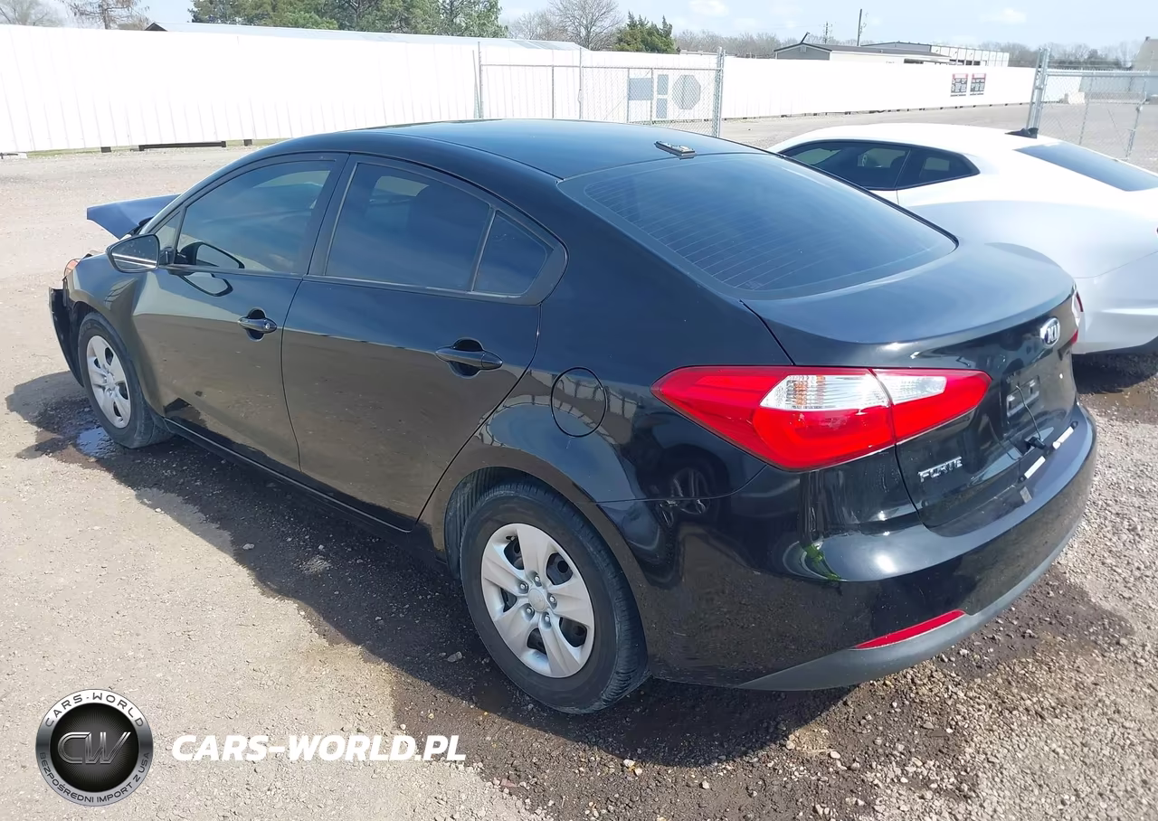 2014 Kia Forte Lx VIN:KNAFK4A66E5141239 - 3
