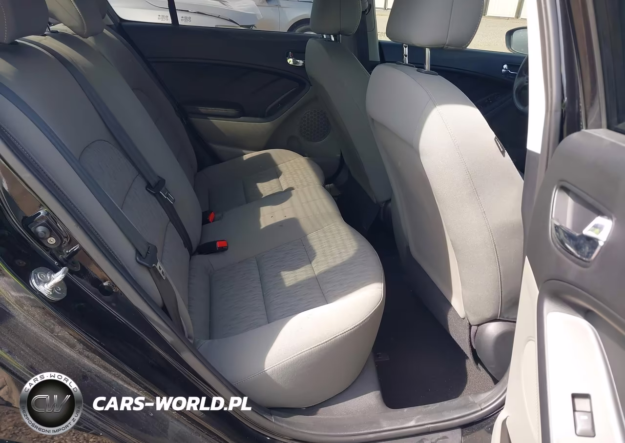 2014 Kia Forte Lx VIN:KNAFK4A66E5141239 - 8