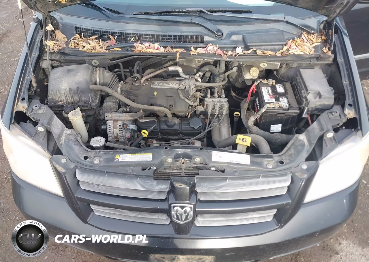 2008 Dodge Grand Caravan Se VIN:1D8HN44H48B181746 - 10