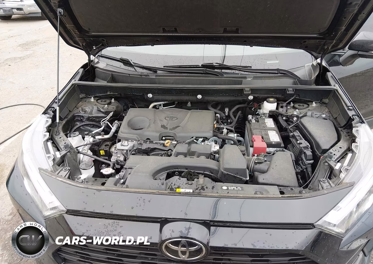 2024 Toyota Rav4 Xle VIN:2T3W1RFV8RC263314 - 10
