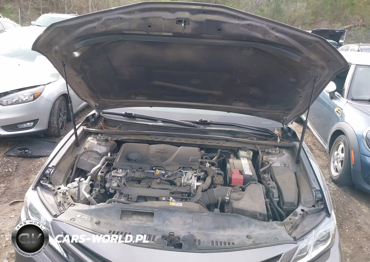 2018 Toyota Camry Se VIN:4T1B11HK1JU020782 - 10
