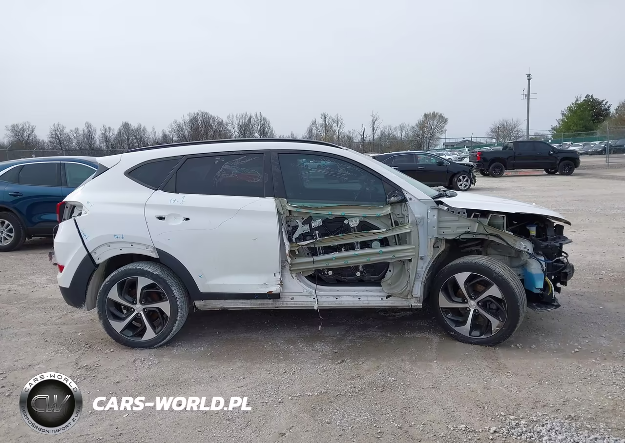 2017 Hyundai Tucson Limited VIN:KM8J33A24HU282916 - 14